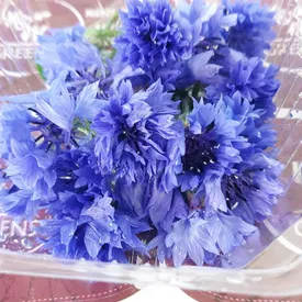 Пищевой цветок Василька, 25 шт.